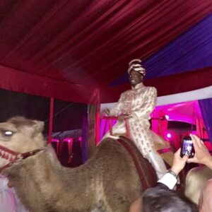 Adrian Peterson rides a camel for his 30th birthday party